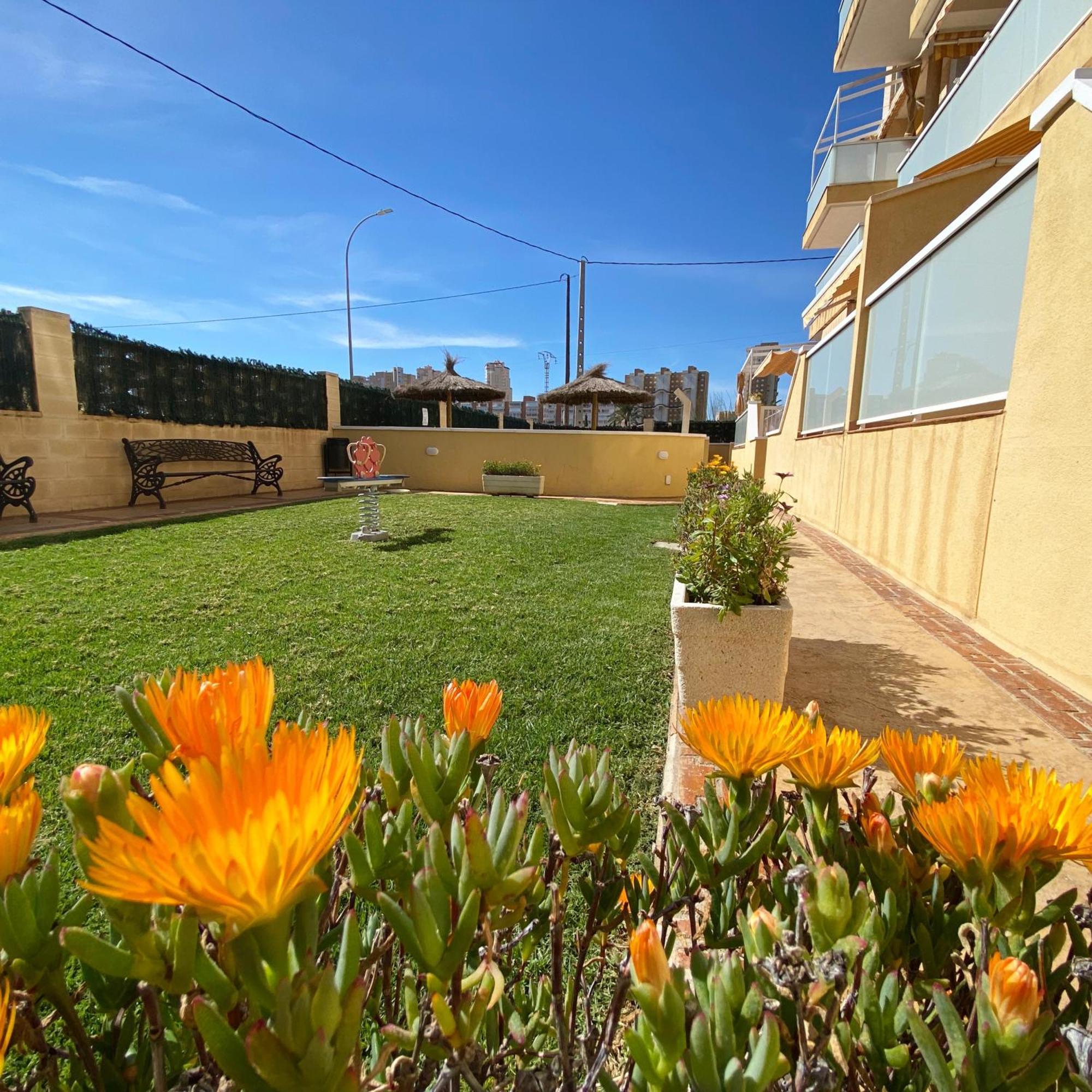 Attic With Great Terrace Close To The Sea Διαμέρισμα El Campello Εξωτερικό φωτογραφία
